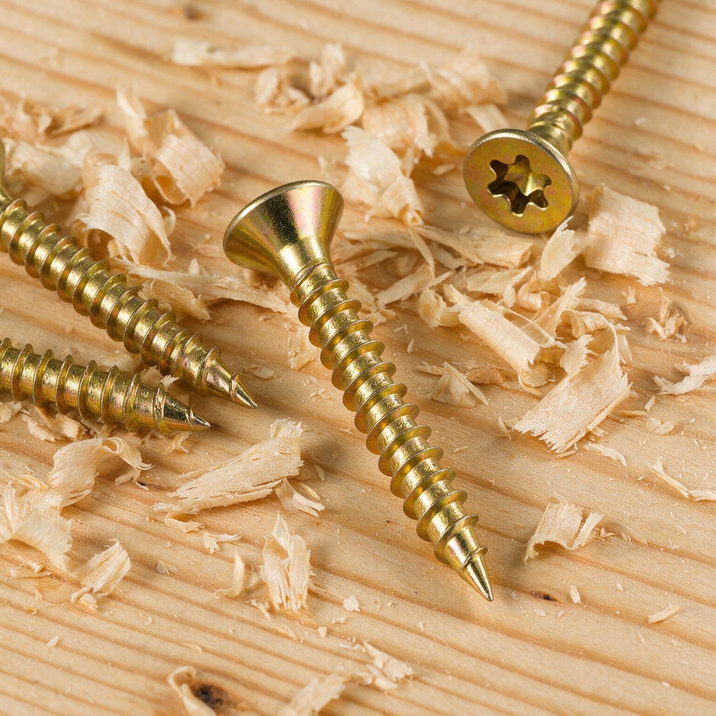 Wood screws with Torx T25 drive detail